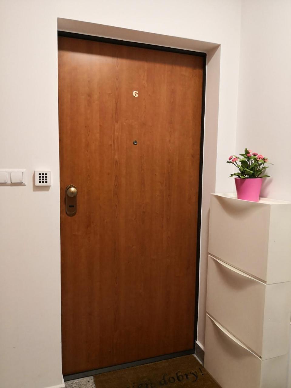 Willa Gusia, Apartamenty 자코파네 외부 사진